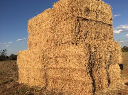 SSS Sudan Grass Hay 8x4x3