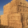 SSS Sudan Grass Hay 8x4x3