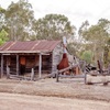 Old Slab hut / Sheering shed / Hay Sheds