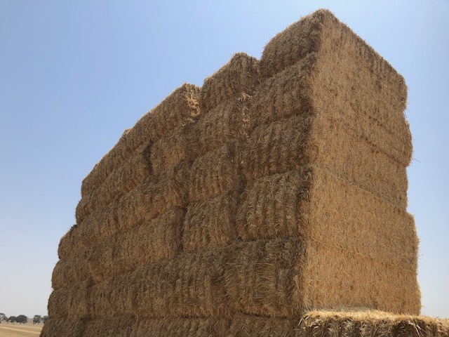 Under Auction - Wheaten Straw 128 - 8x4x3 Bales approx 480 kgs - Sold By The Ton -