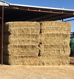 Wheat Hay Corowa See Feed Test