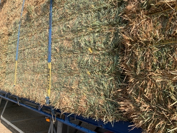 Wheaten hay Cereal hay