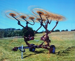 Sitrex V10 Wheel Rake