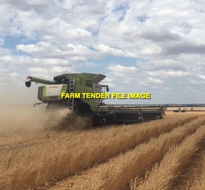 Grain Harvester (Self Propelled Header) for Hire