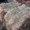 small square grass hay 