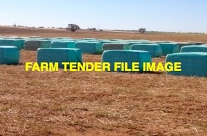 240mt Wheat Silage 8x4x3 Bales