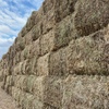 500mt Barley & Ryegrass Pasture Hay 700-750kg 8x4x3 Bales ex paddock
