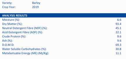 600 x 8x4x3 Bales of New Season Barley Hay
