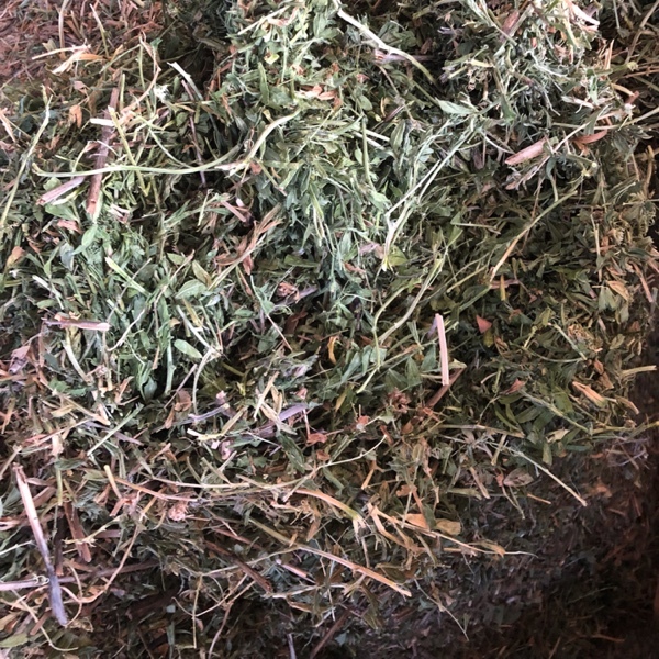 New season Vetch Hay for Sale