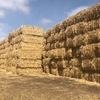 Wheat Straw 8x4x3