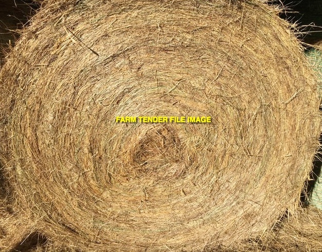 Pasture Hay 5x4 Round Bales