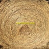 Pasture Hay 5x4 Round Bales