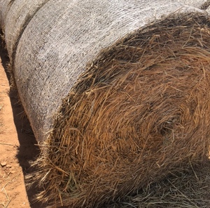 Wheaten Hay Rolls For Sale Ex Farm or Can Freight