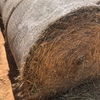 Wheaten Hay Rolls For Sale Ex Farm or Can Freight