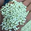 Graded Safflower for sale