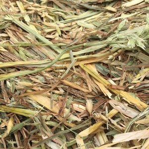 Oaten Hay