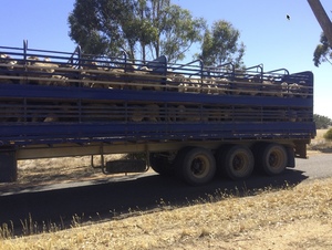 Freighter Stock Trailer  41 ft 6