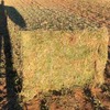 Vetch Hay 8x4x3 Bales 