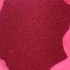 500kg Gem canola seed freshly cleaned and treated Poncho Plus and Ilevo