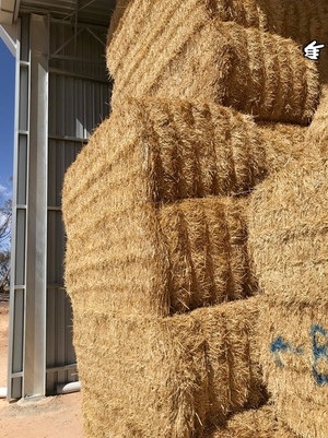 Barley Straw 8x4x3 Bales