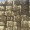 Wheaten Hay 8x4x3 - 850 x 625 KG Approx Bales