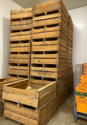55 x Wooden Fruit Bins