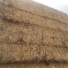 Canola tailings straw