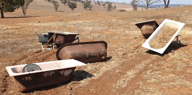 6 x Bath Tub Feeders or Drinkers