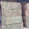 41 x Lucerne Hay 600-650kg 8x4x3 Bales