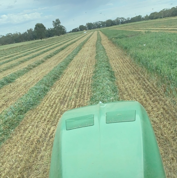 Wanted vetch and cereal crops on a share 