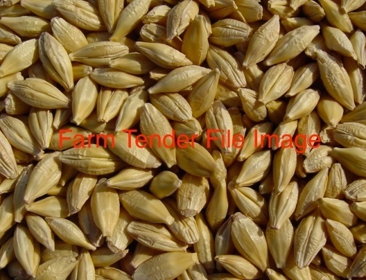 *WANTED* 700mt BAR1 Barley ex paddock