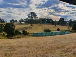 Rhodes Grass Haylage wrapped 4x4 Rounds (new season)