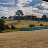 Rhodes Grass Haylage wrapped 4x4 Rounds (new season)